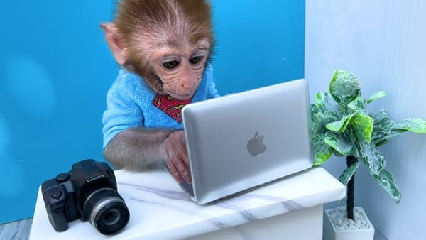 Is AI Making Us Dumber? A Cautionary Reflection